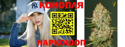 твердый Гатчина