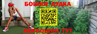 твердый Гатчина
