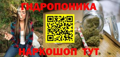 прущие крисы Гай