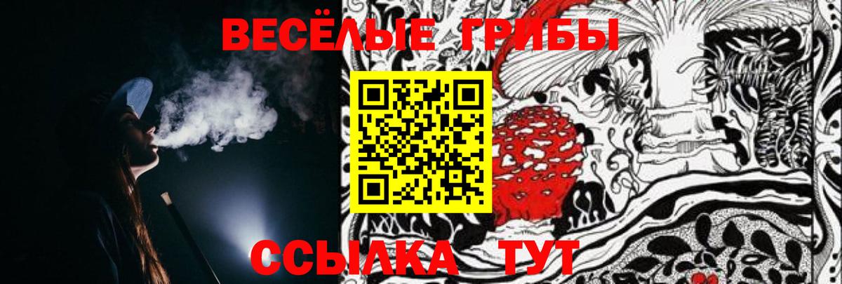 Вологда  Галлюциногенные грибы Magic Shrooms  Вход с VPN 
